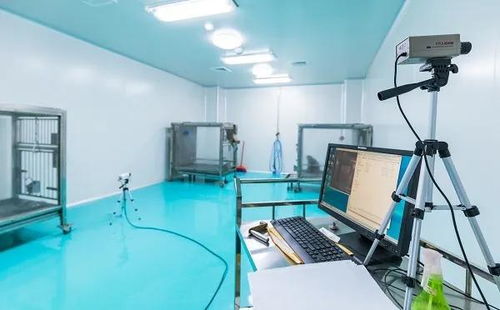 科研試金石與生物制劑研發(fā)的幕后功臣 實驗動物的神奇使命